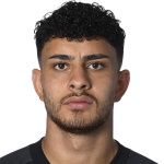 阿兰阿里戈尼